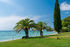 Sea Lavie Apartment, Fourka Beach, Kassandra