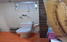 Oikia Samiotaki Emmanouil Apartment, Sarti, Sithonia