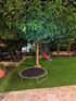 Pathitis Home, Nikiti, Sithonia