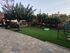 Pathitis Home, Nikiti, Sithonia