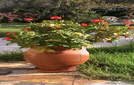 Elaia Apartments and Studios, Lefkas, Lefkada