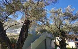 Elaia Apartments and Studios, Lefkas, Lefkada