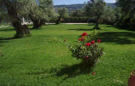 Elaia Apartments and Studios, Lefkas, Lefkada