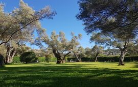 Elaia Apartments and Studios, Lefkas, Lefkada