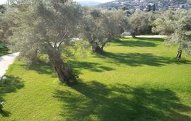 Elaia Apartments and Studios, Lefkas, Lefkada