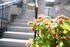 Tilia Apartment, Thessaloniki, Thessaloniki