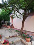 The House of Alkyon Apartments, Toroni, Sithonia