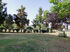 The House of Alkyon Apartments, Toroni, Sithonia
