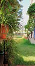 The House of Alkyon Apartments, Toroni, Sithonia