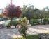 Eleni's House, Vasiliki, Lefkada