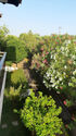 Glarokavos Studios, Pefkohori, Kassandra