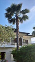 Glarokavos Studios, Pefkohori, Kassandra