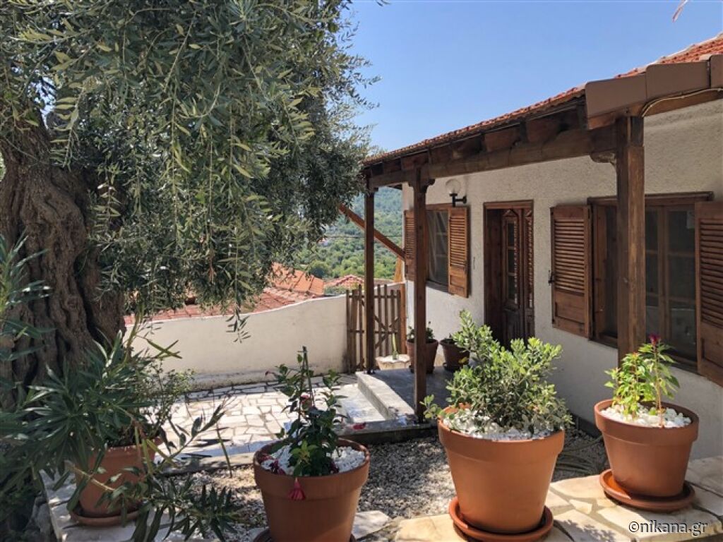 Olive Tree House, Agios Georgios, Thassos