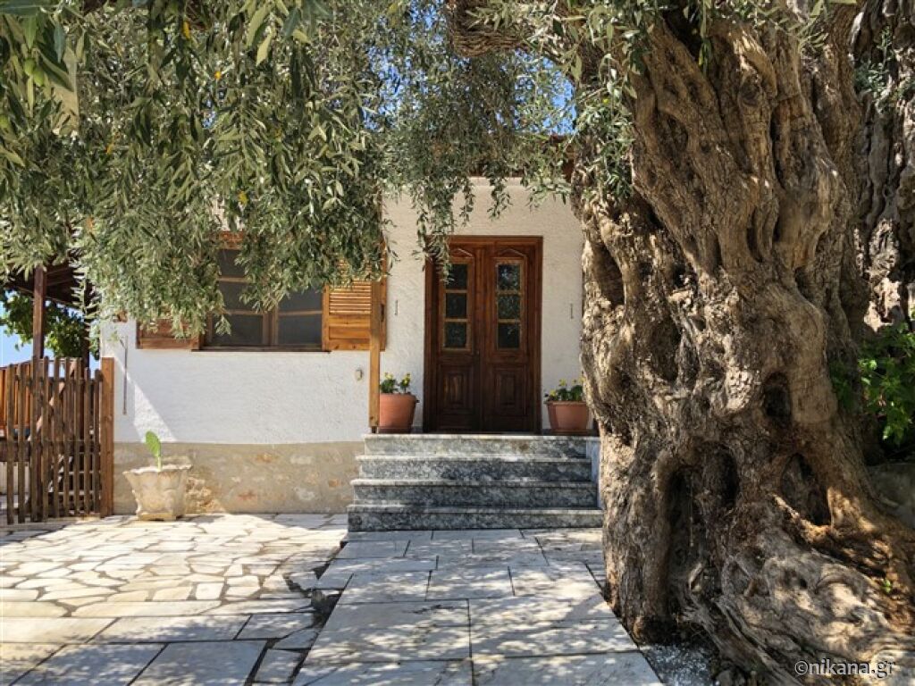 Olive Tree House, Agios Georgios, Thassos