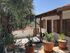 Olive Tree House, Agios Georgios, Thassos