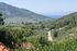 Olive Tree House, Agios Georgios, Thassos