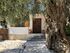 Olive Tree House, Agios Georgios, Thassos