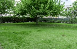 Oasis Villa, Ofrynio, Kavala