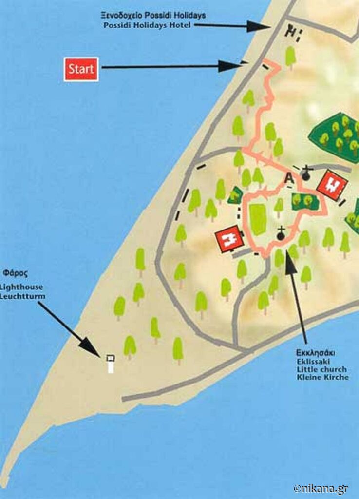 posidi-pinewoods-posidi