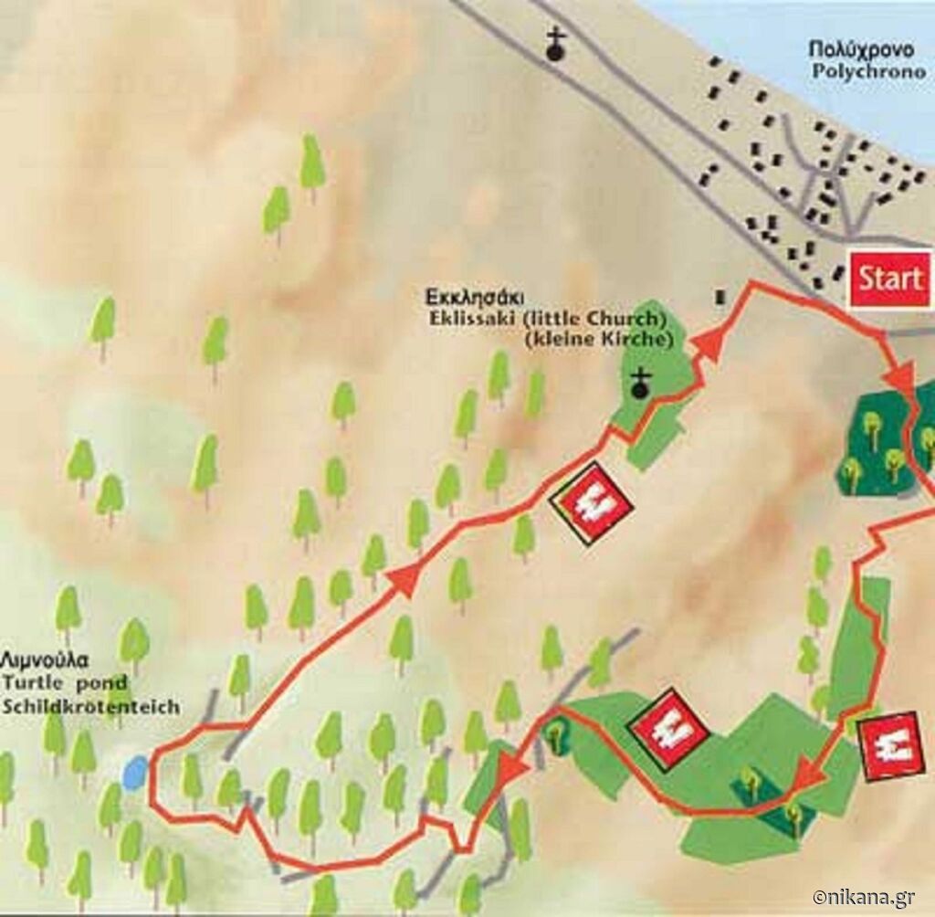 polihrono-mavrobara-polihrono