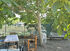 InNature Apartment, Sykia, Sithonia