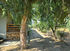 InNature Apartment, Sykia, Sithonia