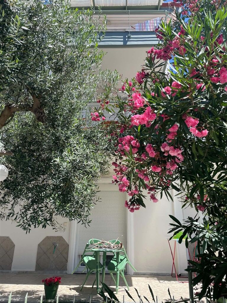 Cathrine’s Apartment, Mola Kaliva, Kassandra