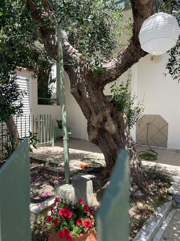 Cathrine’s Apartment, Mola Kaliva, Kassandra