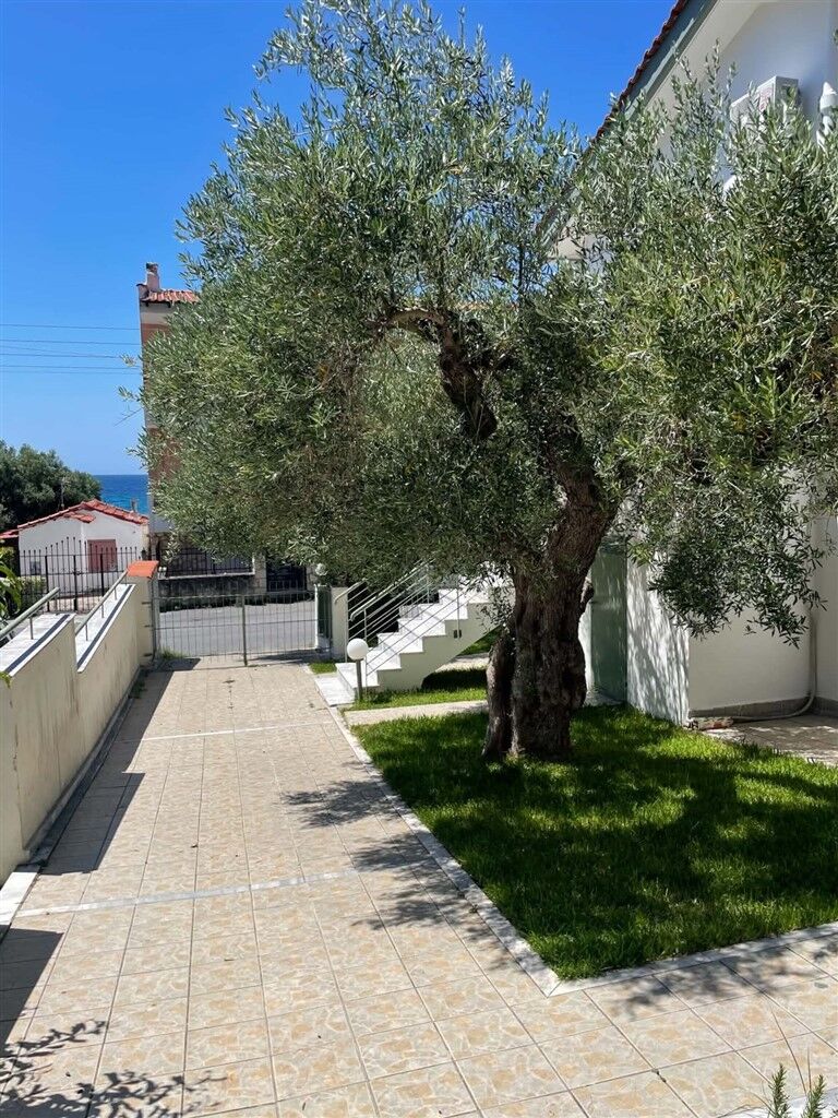 Cathrine’s Apartment, Mola Kaliva, Kassandra