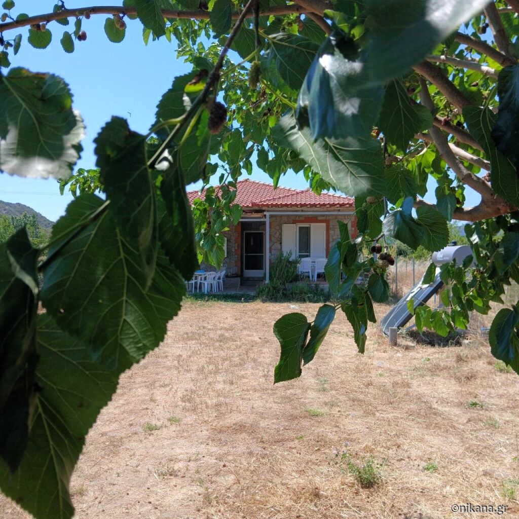 The Blue Breeze Villa, Sykia, Sithonia