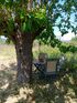 The Blue Breeze Villa, Sykia, Sithonia