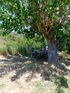The Blue Breeze Villa, Sykia, Sithonia