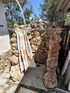 Suzana Villa, Sozopoli, Kassandra