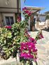 Suzana Villa, Sozopoli, Kassandra