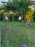 Nicole's Boutique Studio, Nikiti, Sithonia