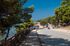 Golden Olive Apartment, Metamorfosi, Sithonia