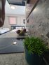 Olea Luxury Suites, Asprovalta, Thessaloniki
