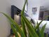 Olea Luxury Suites, Asprovalta, Thessaloniki