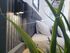 Olea Luxury Suites, Asprovalta, Thessaloniki