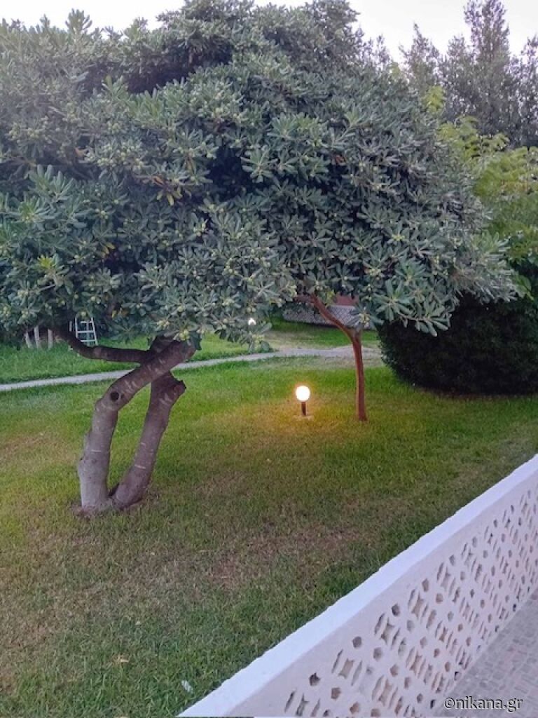 Giota House, Siviri, Kassandra