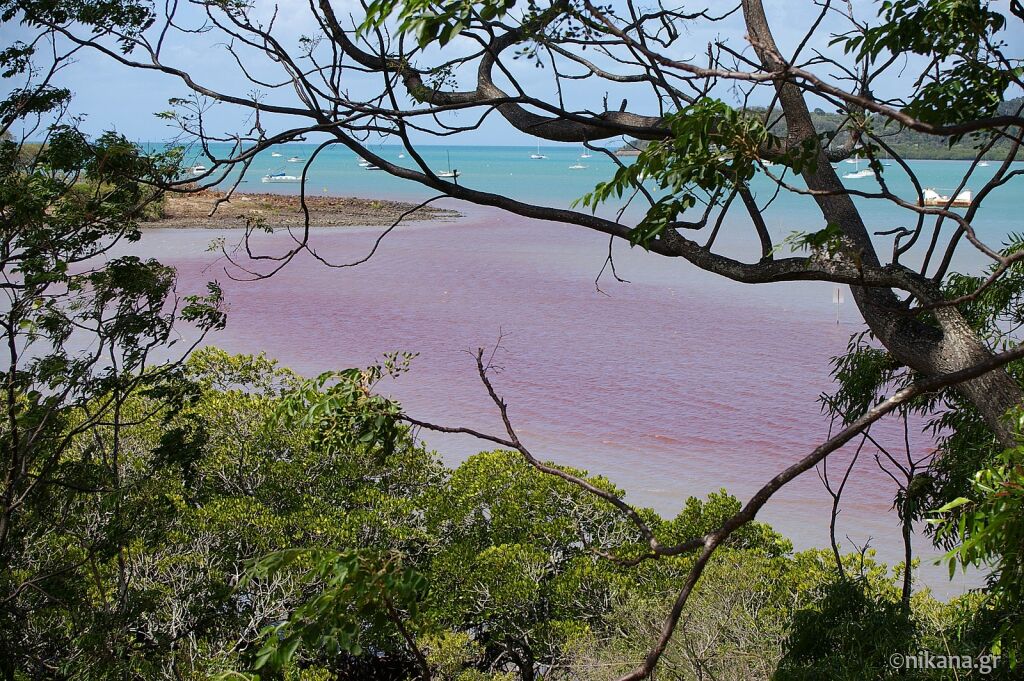 Cvetanje mora (cvet algi) – uzroci, trajanje i bezbednost za turiste, Blog, Blog