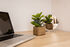 Hugo Superior Studios, Thessaloniki, Thessaloniki