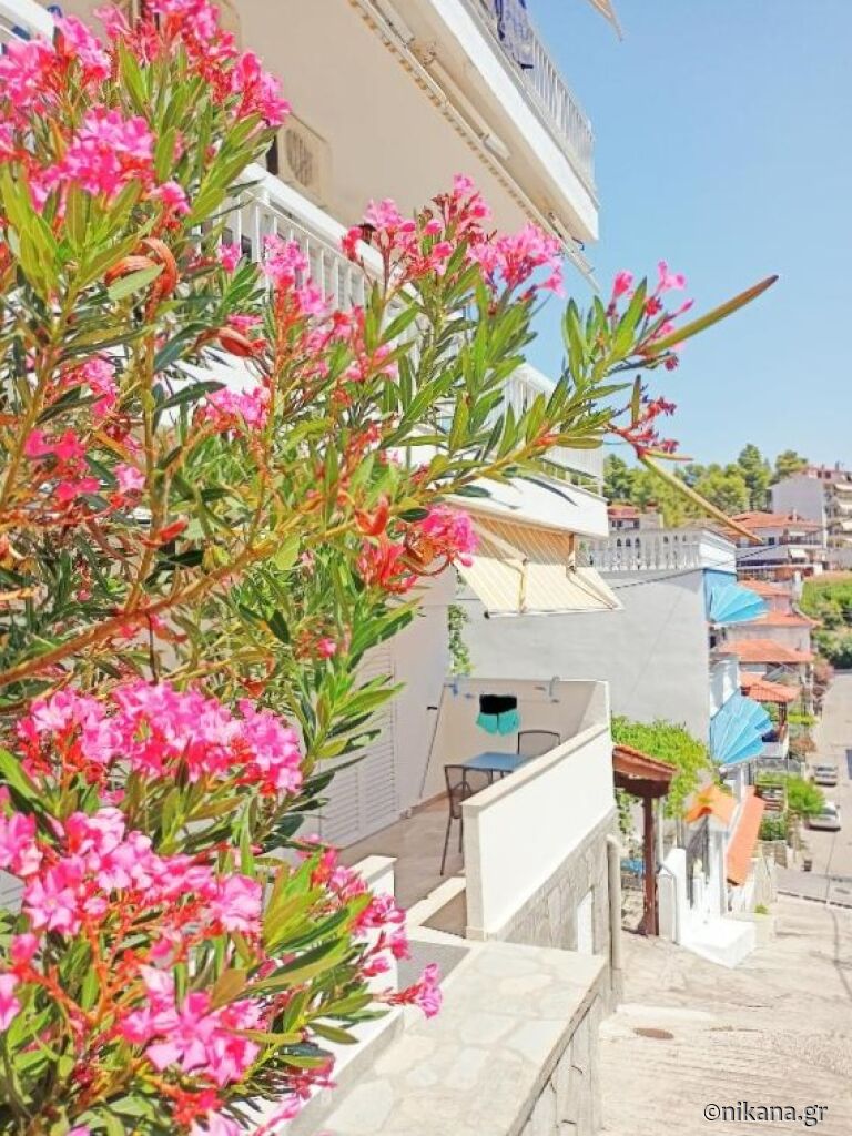 Charistos House, Neos Marmaras, Sithonia