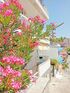 Charistos House, Neos Marmaras, Sithonia