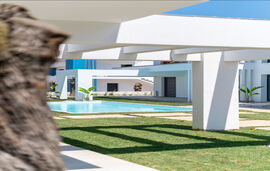 My Dream Apartment, Skala Rachoni, Thassos