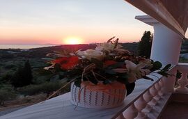 Charoula's Apartments, Sivota, Epirus