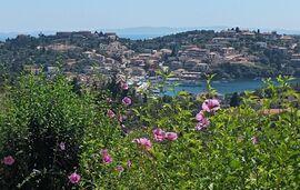 Charoula's Apartments, Sivota, Epirus