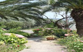 Stella Apartments, Skala Potamia, Thassos