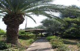 Stella Apartments, Skala Potamia, Thassos