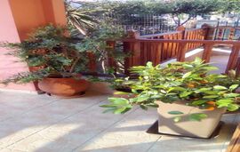 Ismini Hotel, Ammouliani, Athos